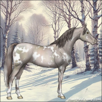 Horse Color:Platinum White Spotted Liver Chestnut Pearl Rabicano 