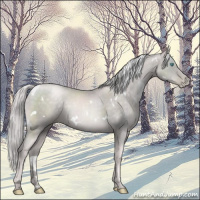 Horse Color:Platinum White Spotted Chocolate Palomino Pearl Rabicano 