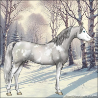 Horse Color:Platinum White Spotted Chocolate Palomino Pearl Splash 