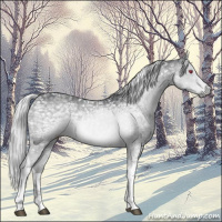 Horse Color:Silver Grullo Chinchilla Ice Tobiano