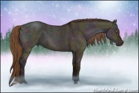 Horse Color:Midnight Brown Pearl Dun 