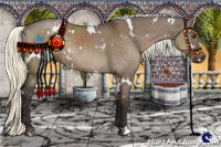 Horse Color:White Spotted Liver Red Dun Mushroom Rabicano 