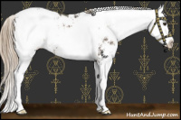 Horse Color:Liver Chestnut Sabino Splash Blanket 