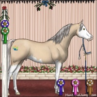 Horse Color:Silver Classic Champagne Dun Splash 