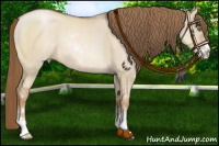 Horse Color:Liver Red Dun Pearl Sabino 