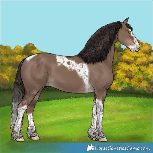 Horse Color:Liver Red Dun Splash Tobiano 