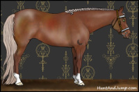 Horse Color:Chocolate Silver Brown 