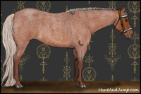 Horse Color:Chocolate Silver Bay Roan