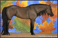 Horse Color:Gray Brown Dun 