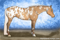 Horse Color:White Spotted Silver Sable Cream Champagne Appaloosa 