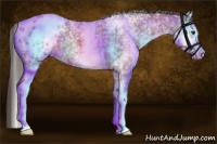 Horse Color:White Spotted Buckskin Roan Varnish 