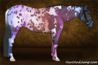 Horse Color:White Spotted Brown Roan Appaloosa Rabicano 