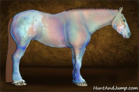 Horse Color:Amber Champagne Roan Sabino Appaloosa 
