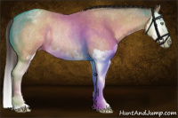 Horse Color:Sable Champagne Roan Sabino Splash Appaloosa Rabicano 