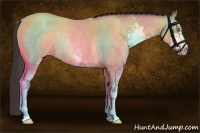 Horse Color:Sable Champagne Roan Sabino Rabicano 