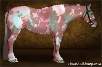 Horse Color:White Spotted Classic Champagne Roan Appaloosa 