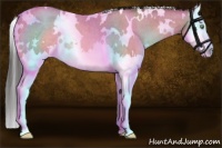 Horse Color:White Spotted Sable Champagne Roan Splash Rabicano