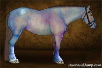 Horse Color:Classic Champagne Roan Appaloosa Rabicano 