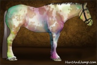Horse Color:White Spotted Sable Champagne Roan Appaloosa Rabicano 