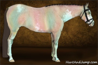 Horse Color:Sable Champagne Roan Sabino Appaloosa 