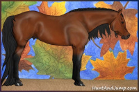 Horse Color:Gray Bay 