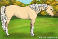 Horse Color:Silver Buckskin Dun Tobiano