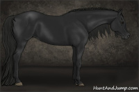 Horse Color:Gray Black 