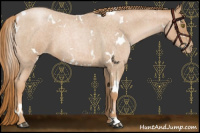 Horse Color:White Spotted Red Roan Pearl