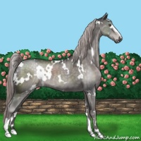 Horse Color:Platinum White Spotted Chocolate Palomino Sabino 