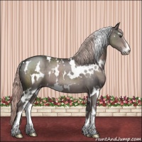 Horse Color:Platinum White Spotted Liver Chestnut Sabino 