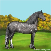 Horse Color:Platinum White Spotted Chocolate Palomino Sabino