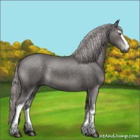 Horse Color:Platinum White Spotted Chocolate Palomino