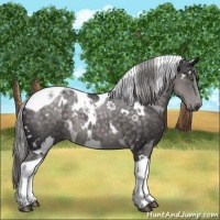 Horse Color:Platinum White Spotted Chocolate Palomino Tobiano 