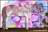 Horse Color:White Spotted Liver Red Dun Rabicano 