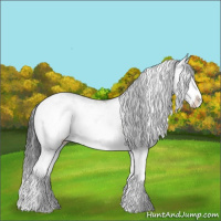 Horse Color:Bay Sabino Splash Appaloosa 