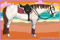 Horse Color:Sable Champagne Onyx Appaloosa 