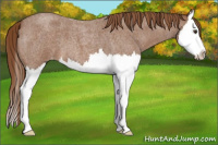 Horse Color:Red Roan Splash Varnish 