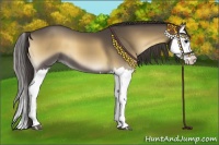 Horse Color:Smoky Blue Onyx Splash 