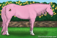 Horse Color:Watercolor Smoky Black 