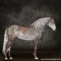 Horse Color:White Spotted Chocolate Silver Black Chinchilla 