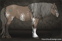 Horse Color:White Spotted Liver Red Dun Mushroom 