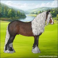 Horse Color:Liver Chestnut Mushroom Sabino 