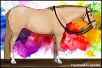 Horse Color:Bay Pearl 