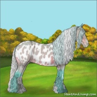 Horse Color:Watercolor White Spotted Silver Bay Ice Appaloosa 