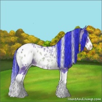Horse Color:Watercolor White Spotted Brown Ice Onyx Splash Appaloosa