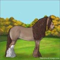 Horse Color:Liver Red Dun Roan 