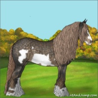 Horse Color:Chocolate Palomino Frame 