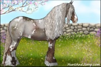 Horse Color:White Spotted Liver Chestnut Sabino Appaloosa 