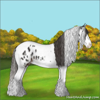 Horse Color:Liver Chestnut Sabino Splash Appaloosa  and Liver Chestnut Splash Tobiano Appaloosa 