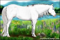 Horse Color:Silver Brown Sabino Splash